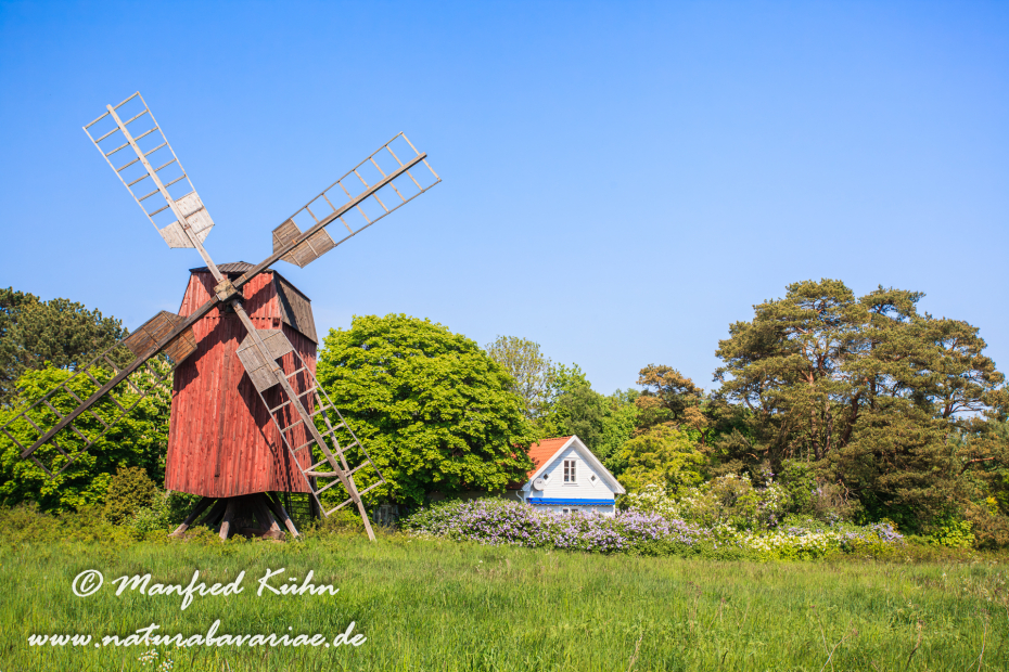 Öland  (Schweden)_0298