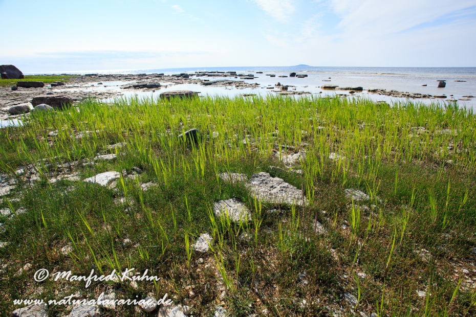 Öland  (Schweden)_0303