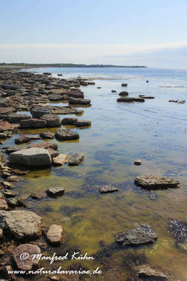 Öland  (Schweden)_0308