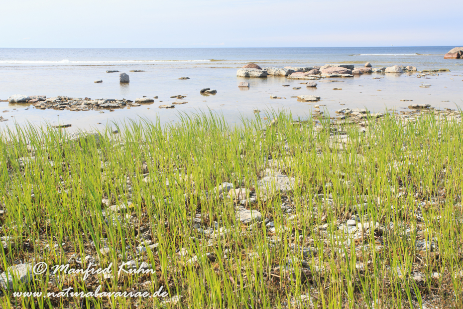 Öland  (Schweden)_0309