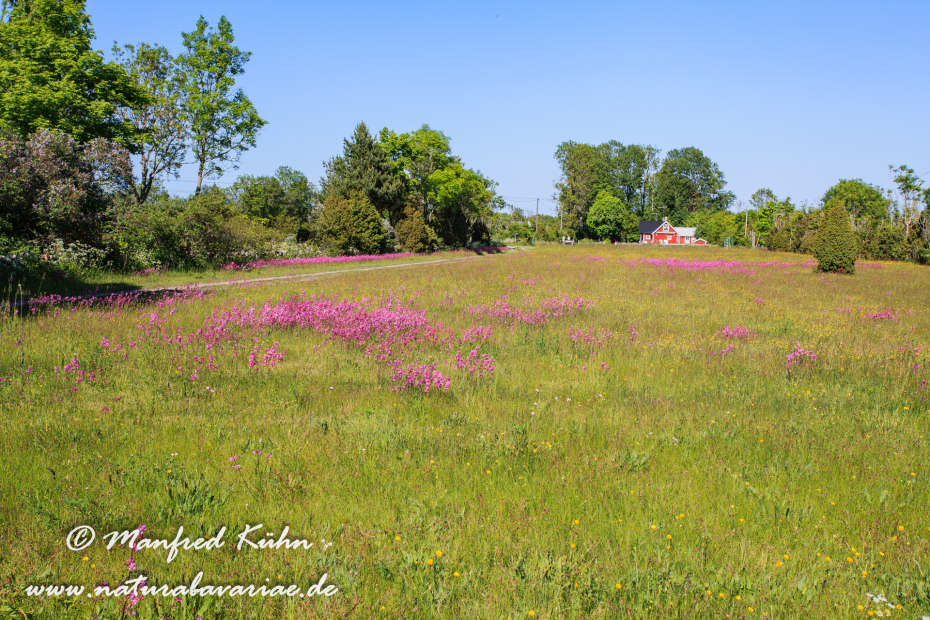 Öland  (Schweden)_0320