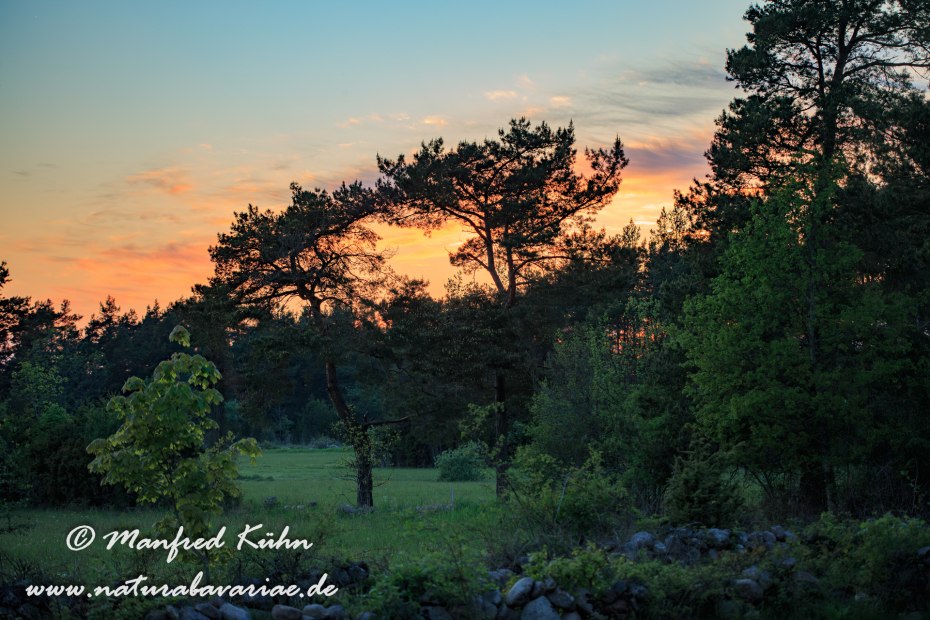 Öland  (Schweden)_0331