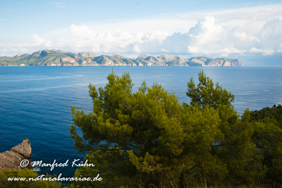 Mallorca (Spanien)_0019