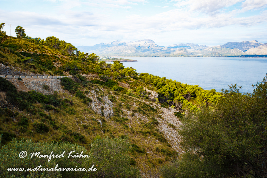 Mallorca (Spanien)_0020
