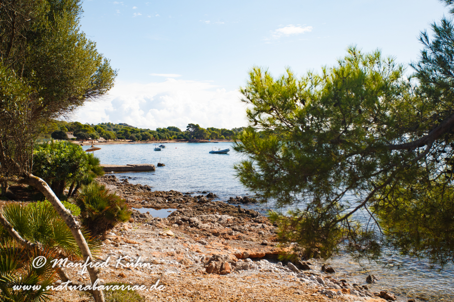 Mallorca (Spanien)_0026