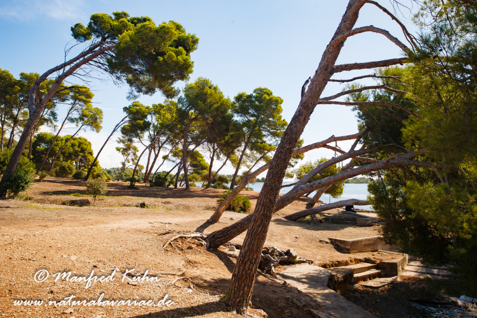 Mallorca (Spanien)_0036