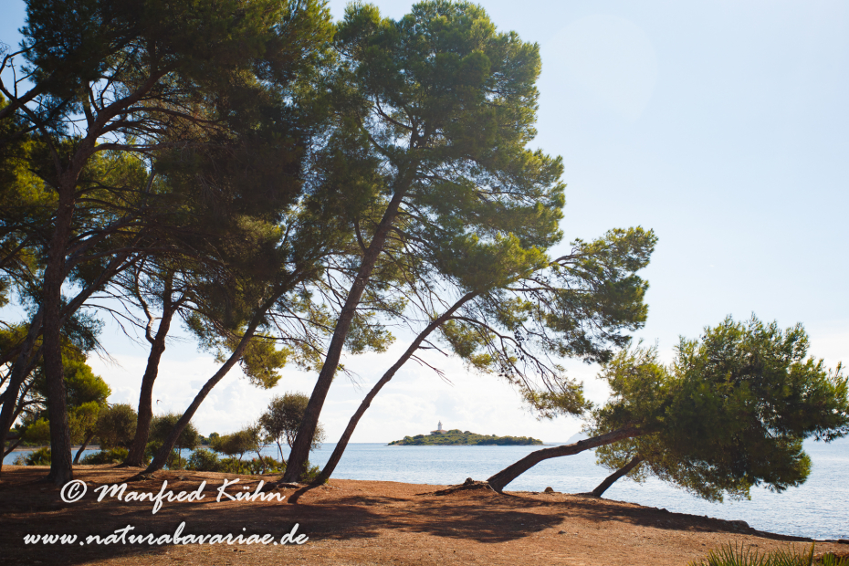 Mallorca (Spanien)_0037