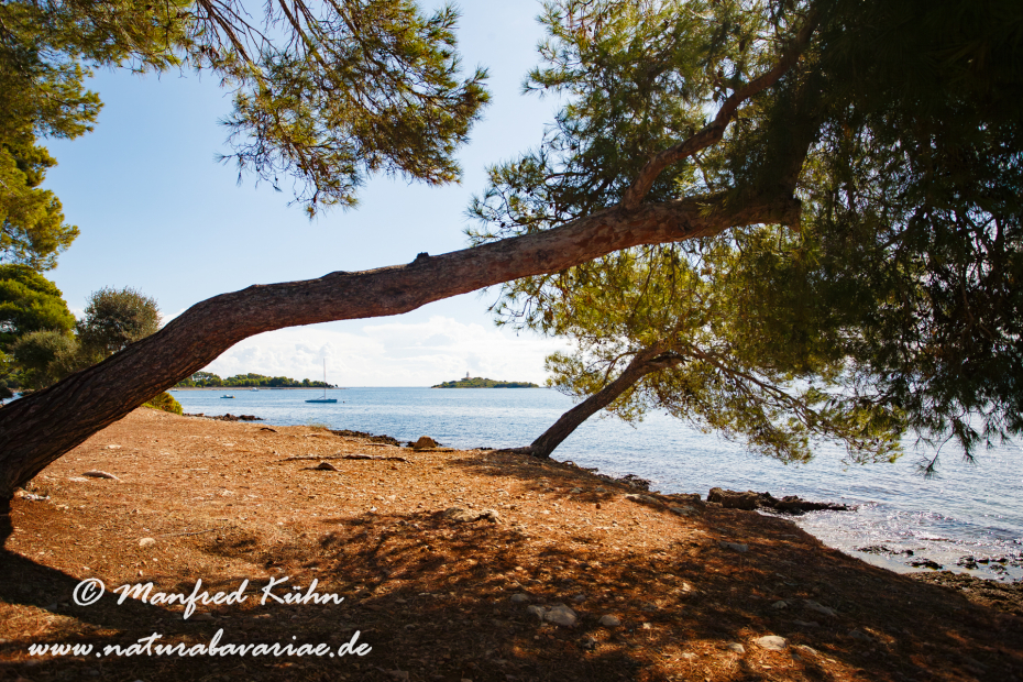 Mallorca (Spanien)_0038