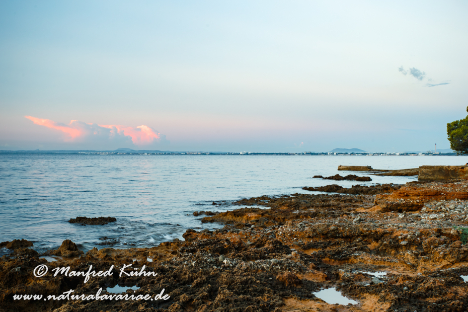 Mallorca (Spanien)_0052
