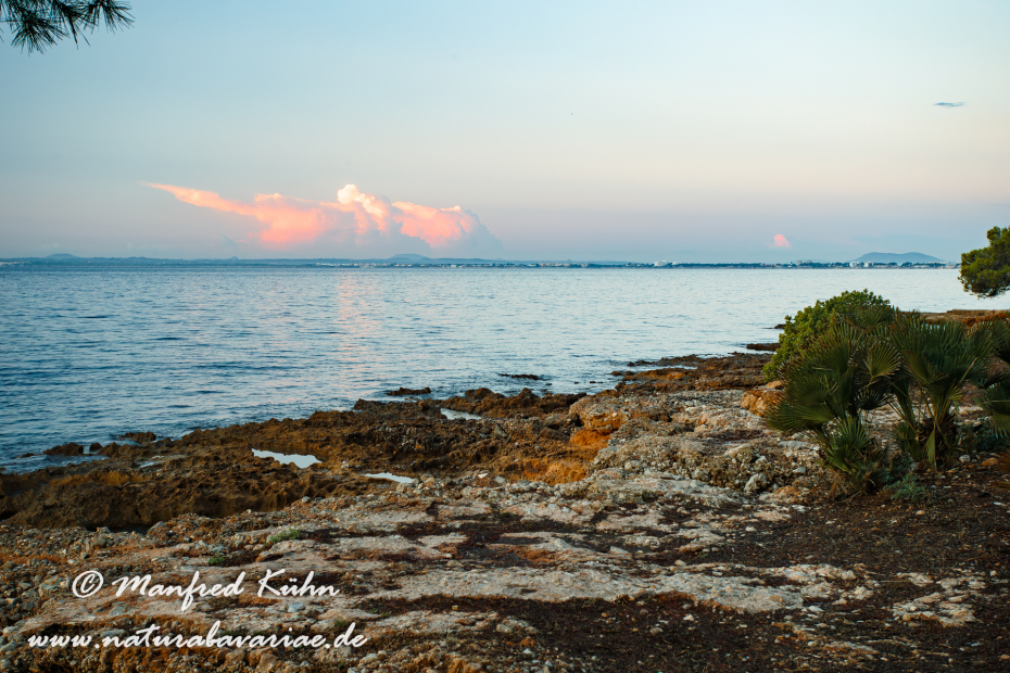 Mallorca (Spanien)_0055