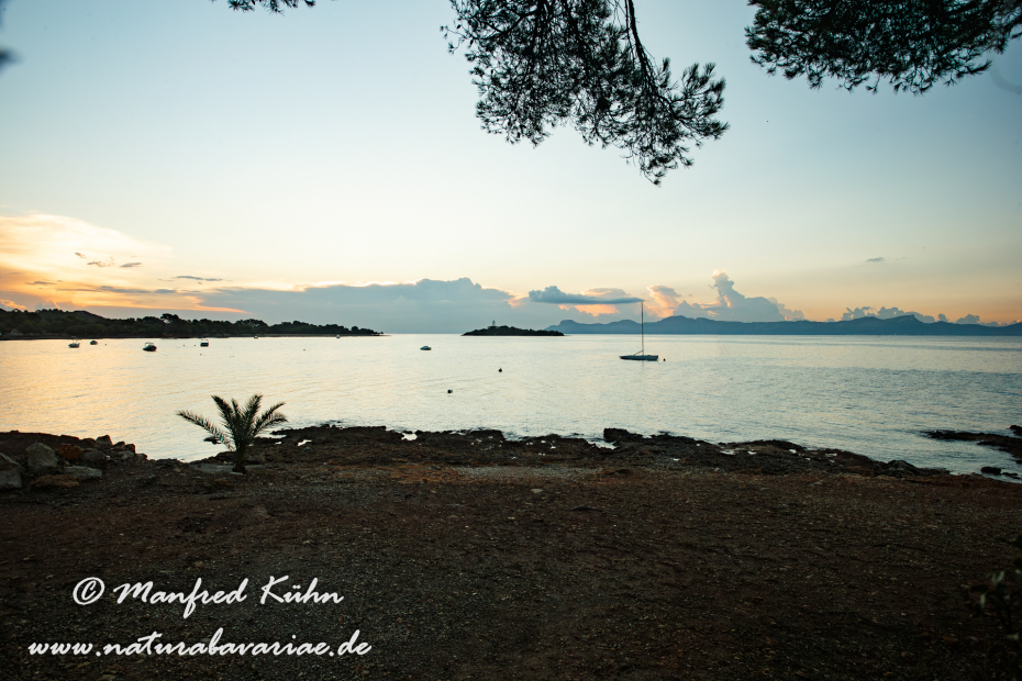 Mallorca (Spanien)_0060