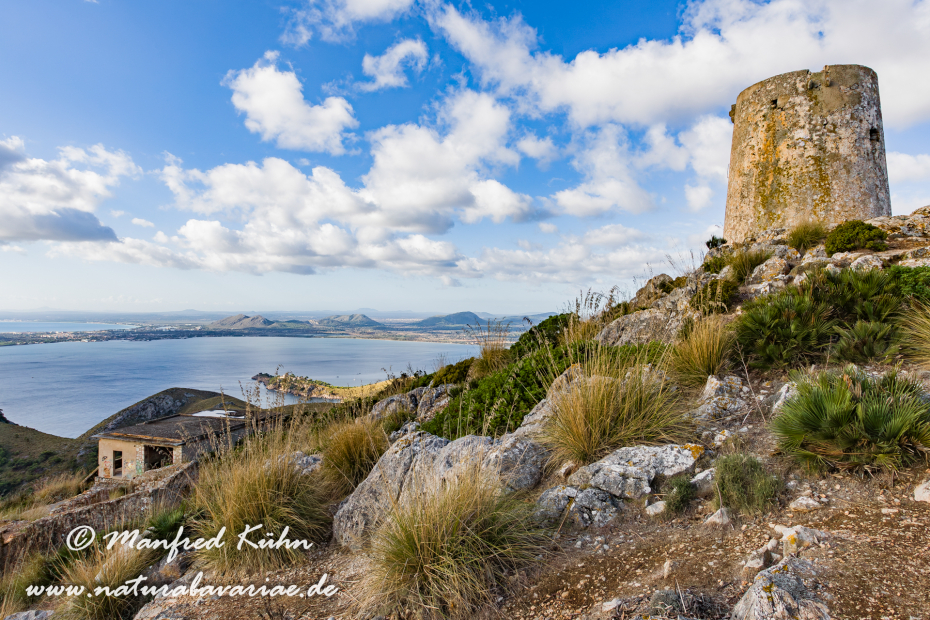 Mallorca (Spanien)_0081