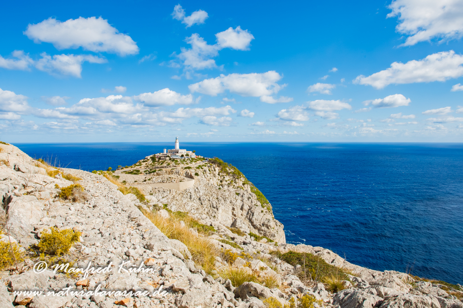 Mallorca (Spanien)_0091