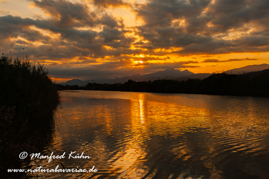 Mallorca (Spanien)_0100