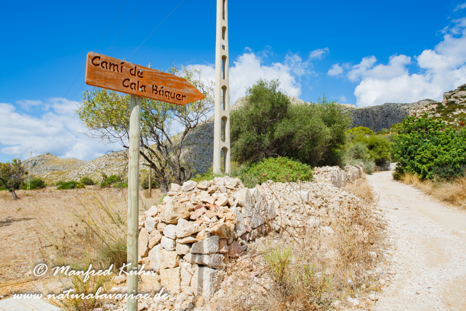 Mallorca (Spanien)_0102