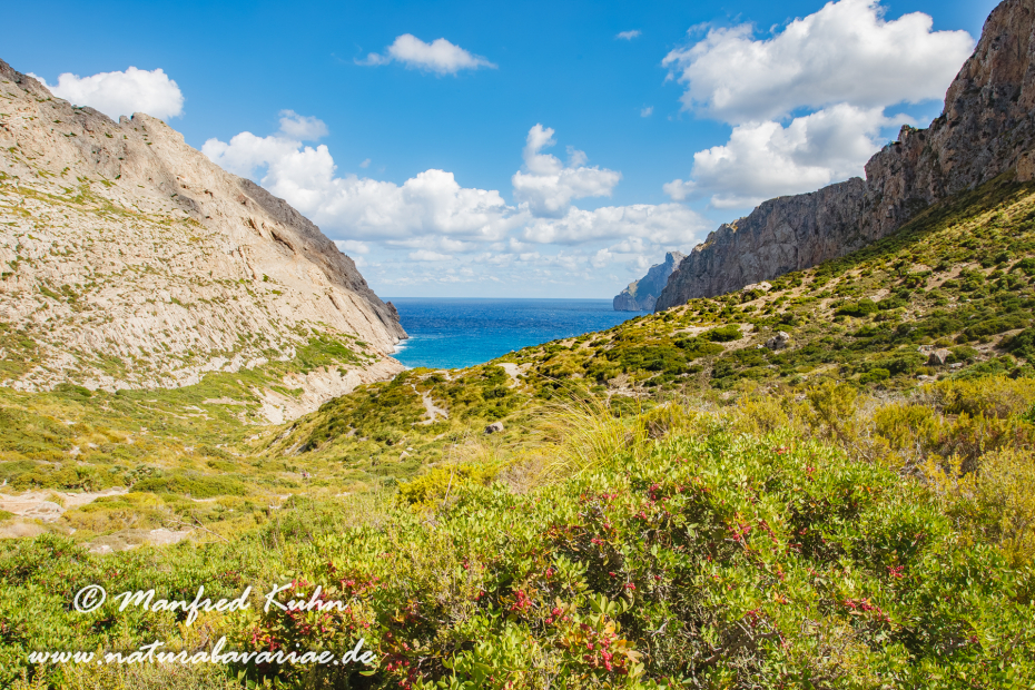 Mallorca (Spanien)_0106