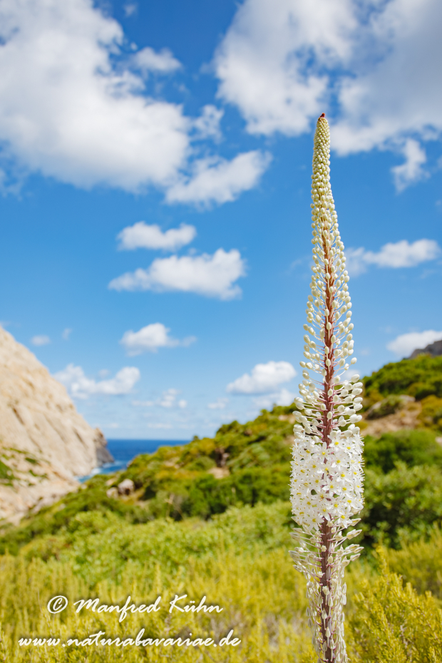Mallorca (Spanien)_0126