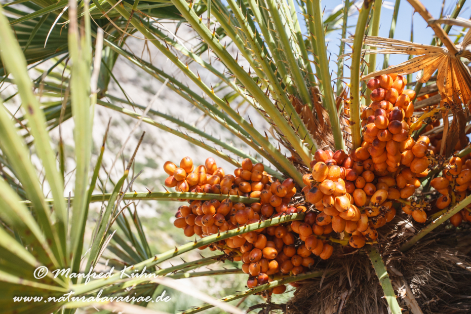Mallorca (Spanien)_0130