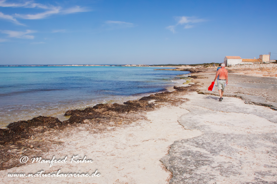 Mallorca (Spanien)_0136