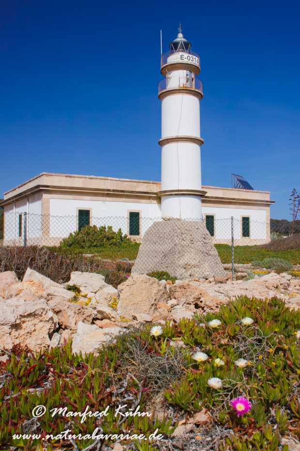 Mallorca (Spanien)_0143