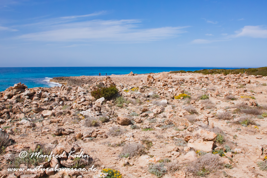 Mallorca (Spanien)_0144
