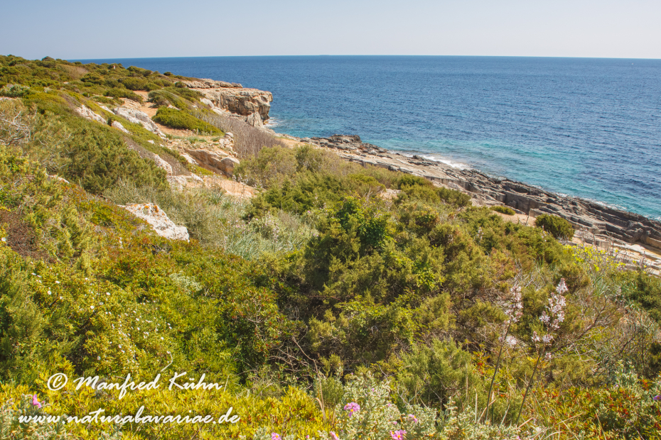 Mallorca (Spanien)_0148