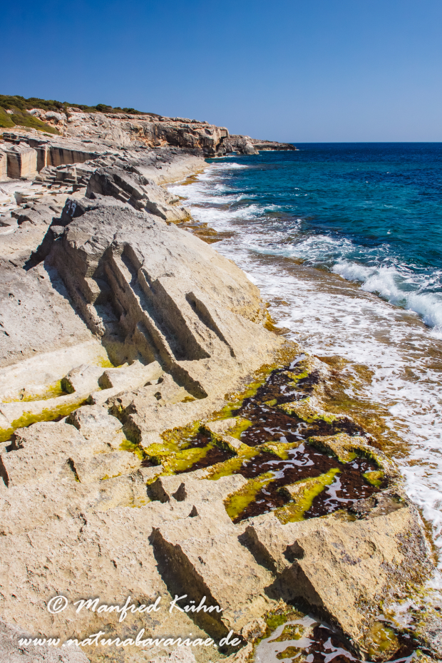 Mallorca (Spanien)_0151