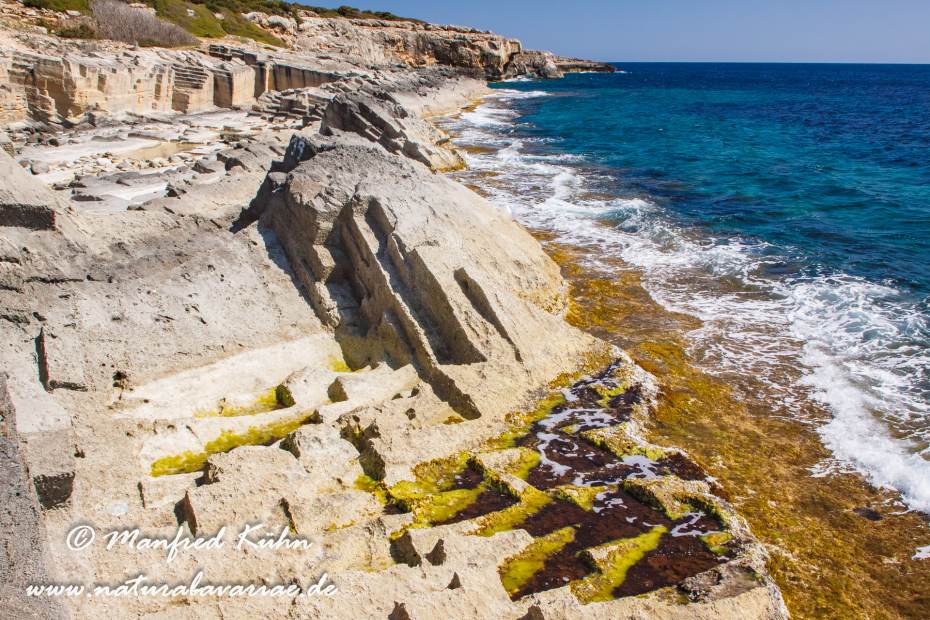 Mallorca (Spanien)_0152