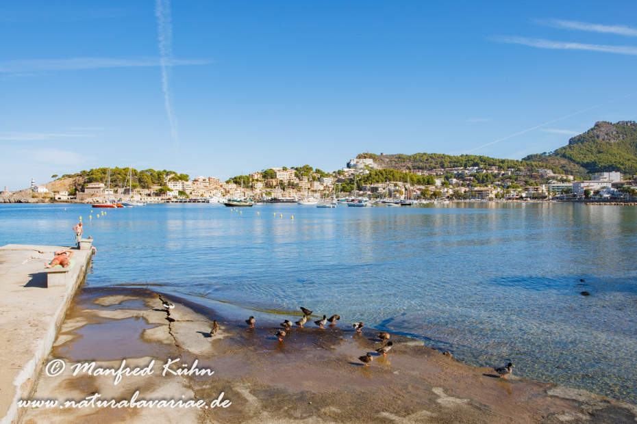 Mallorca (Spanien)_0160