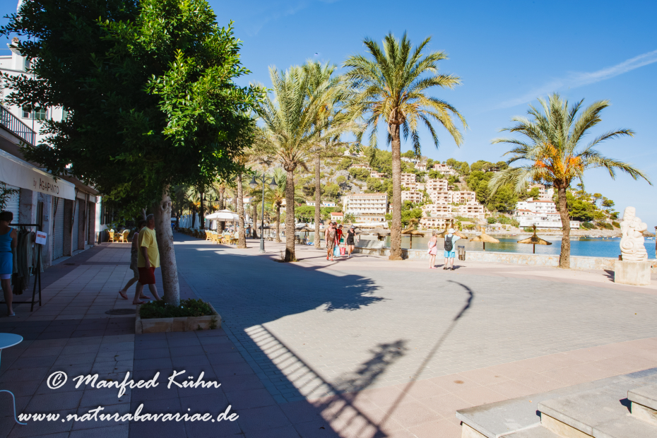 Mallorca (Spanien)_0163