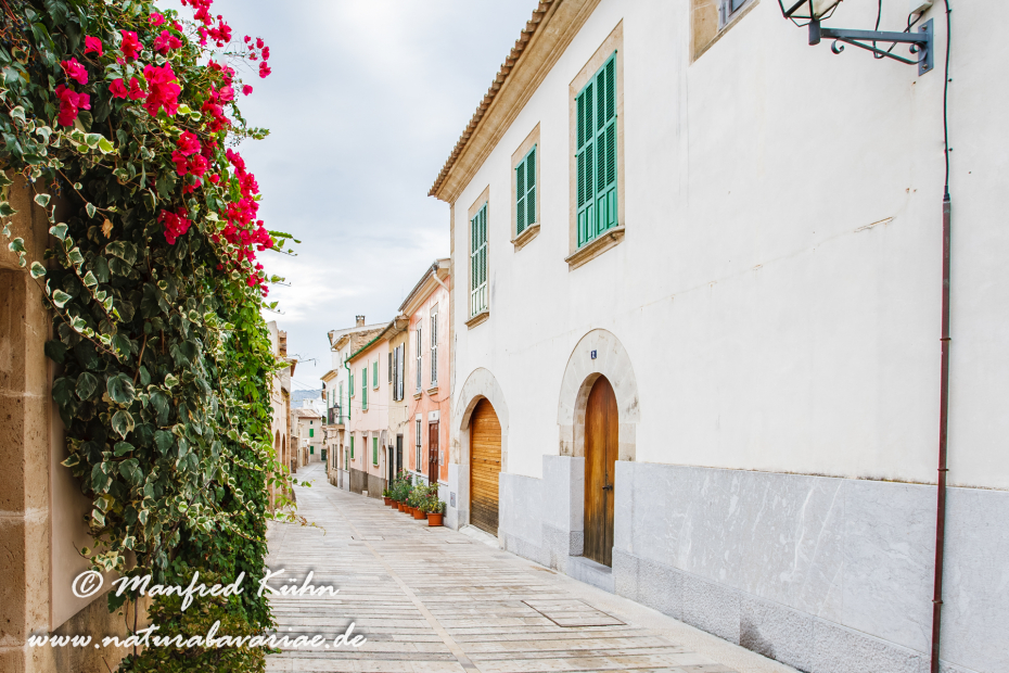 Mallorca (Spanien)_0173