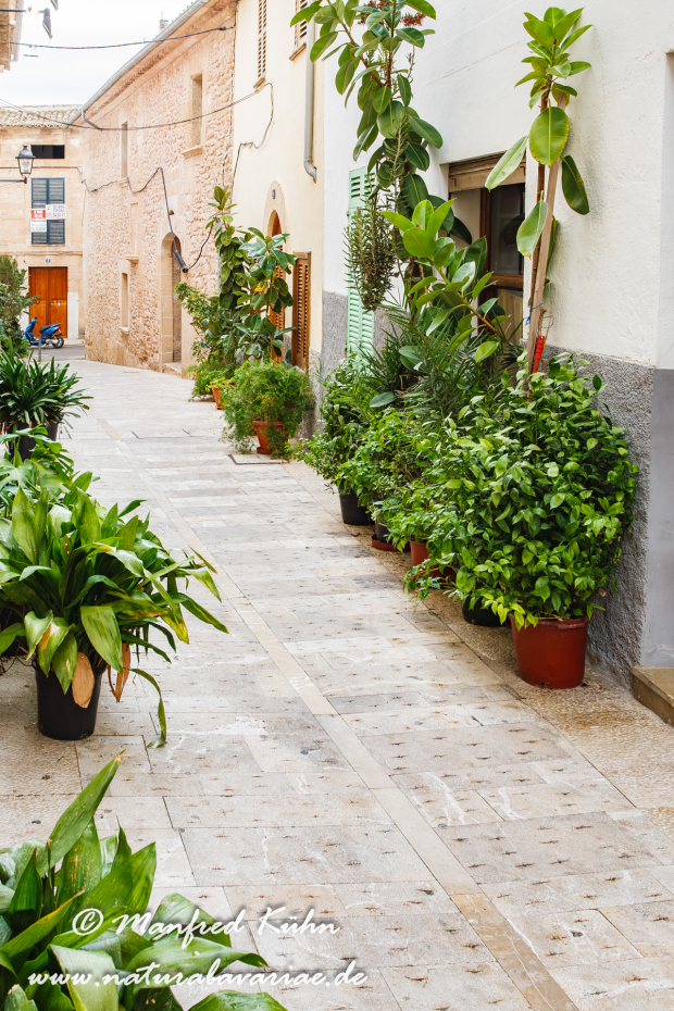 Mallorca (Spanien)_0176