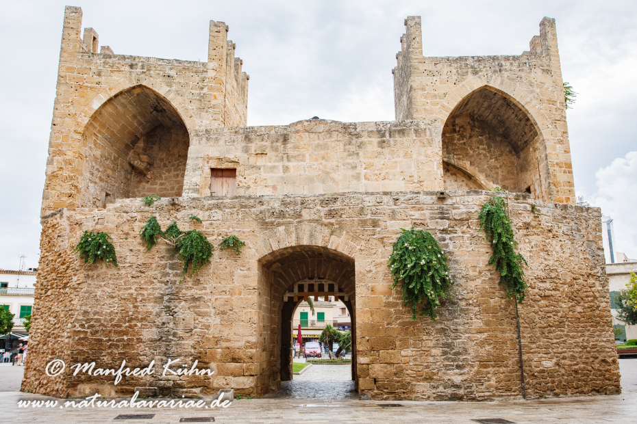 Mallorca (Spanien)_0184