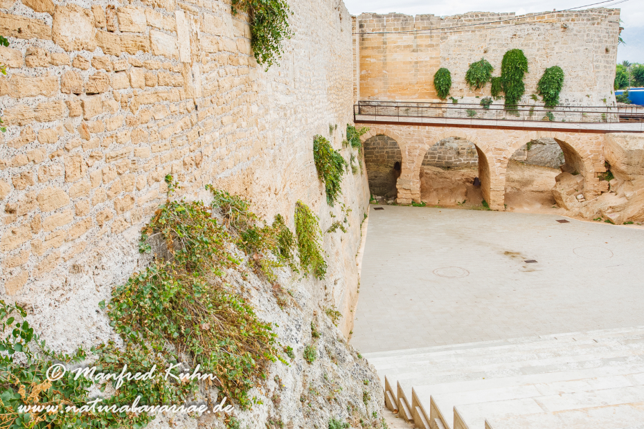 Mallorca (Spanien)_0185