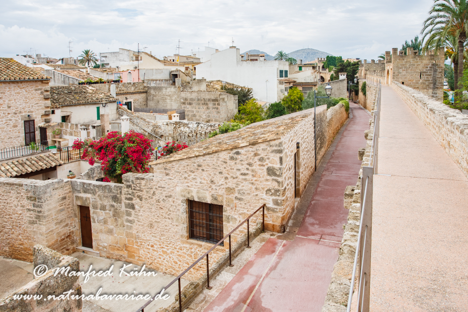 Mallorca (Spanien)_0187
