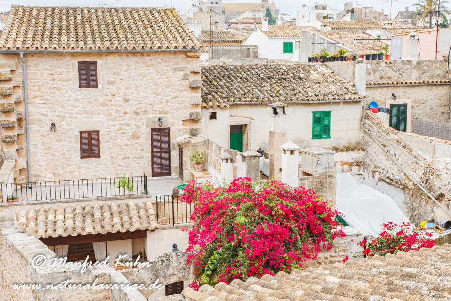 Mallorca (Spanien)_0189