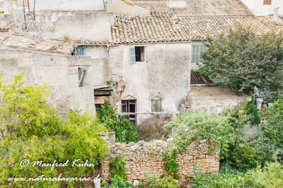 Mallorca (Spanien)_0191