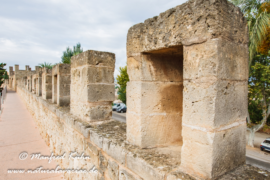 Mallorca (Spanien)_0192
