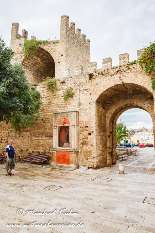 Mallorca (Spanien)_0193