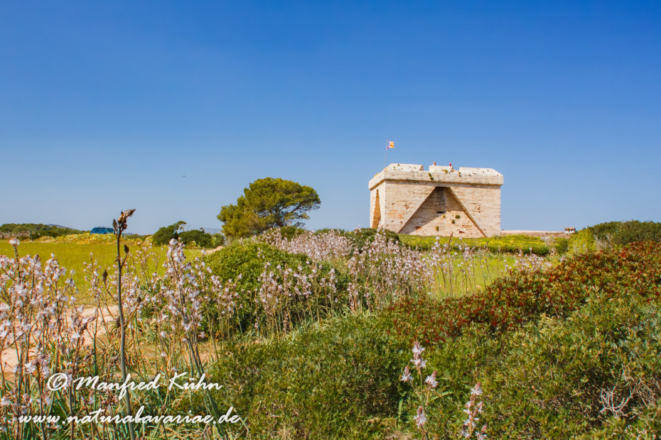 Mallorca (Spanien)_0248