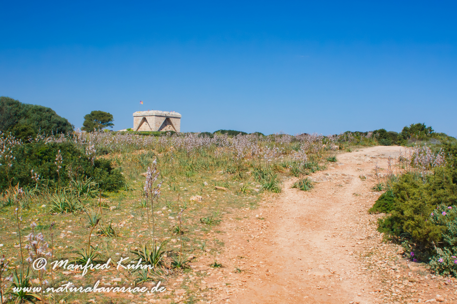 Mallorca (Spanien)_0249