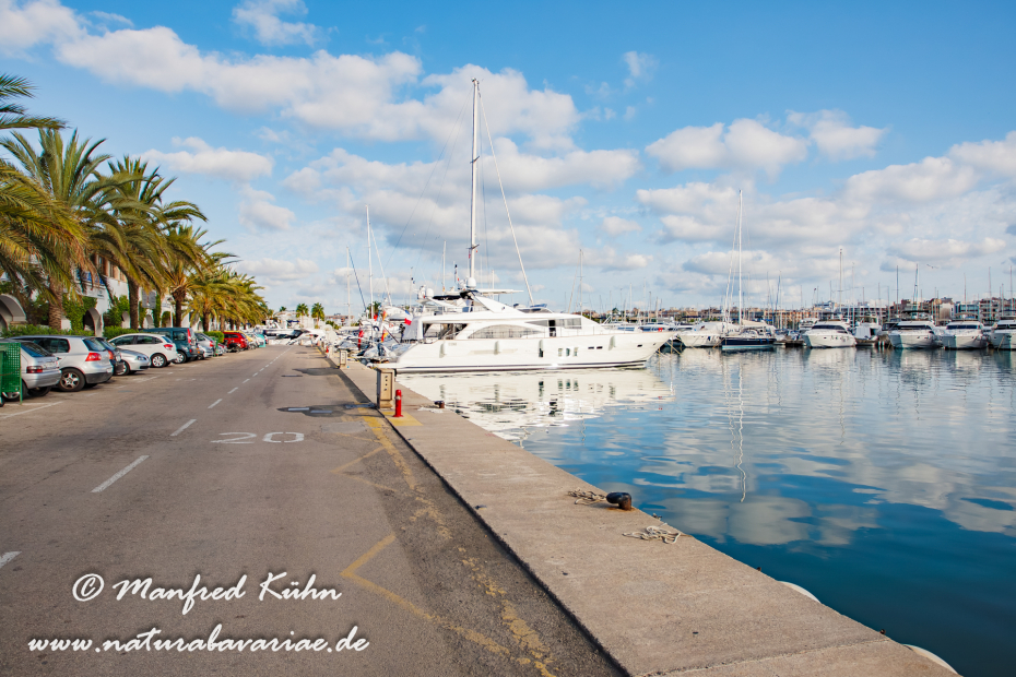 Mallorca (Spanien)_Alcudia-Jachthafen_0001