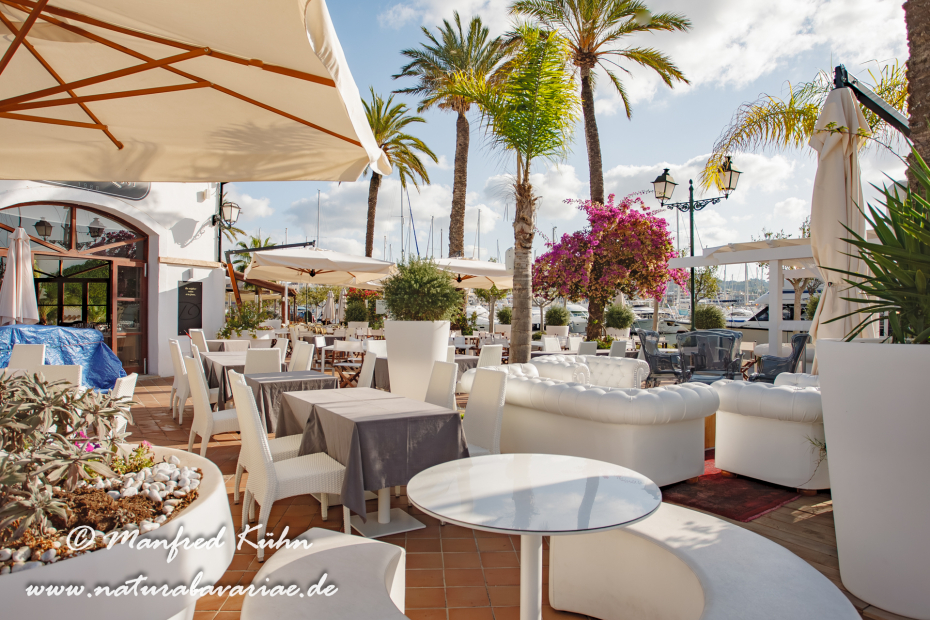 Mallorca (Spanien)_Alcudia-Jachthafen_0003
