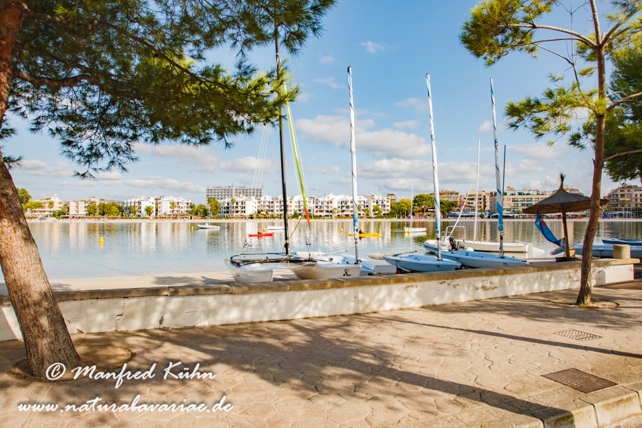Mallorca (Spanien)_Alcudia-Jachthafen_0004