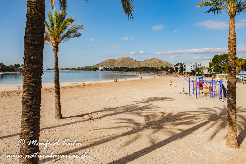 Mallorca (Spanien)_Alcudia-Jachthafen_0009