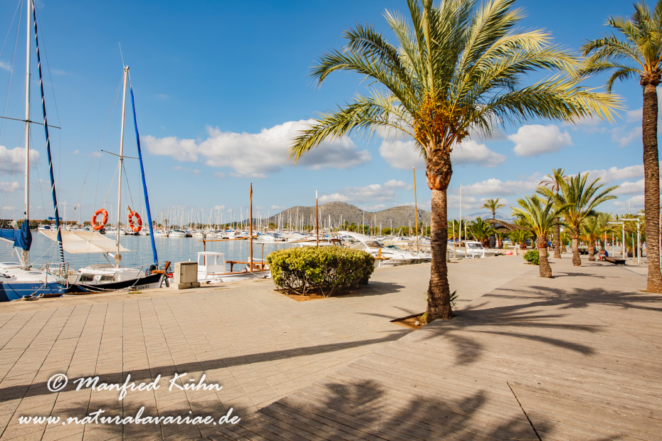 Mallorca (Spanien)_Alcudia-Jachthafen_0016