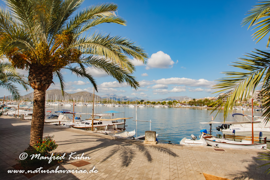 Mallorca (Spanien)_Alcudia-Jachthafen_0019