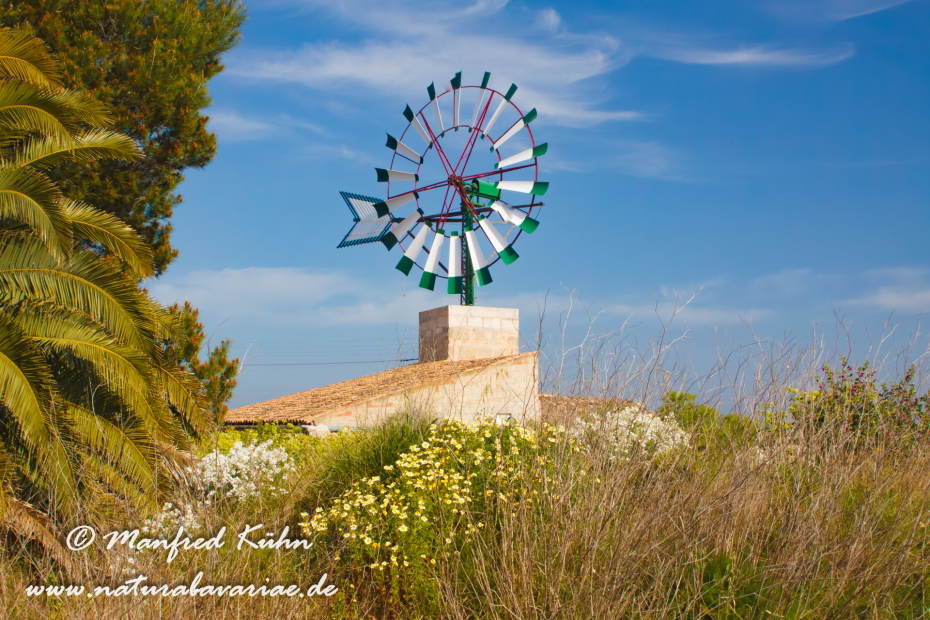 Mallorca (Spanien)_Süden_0002