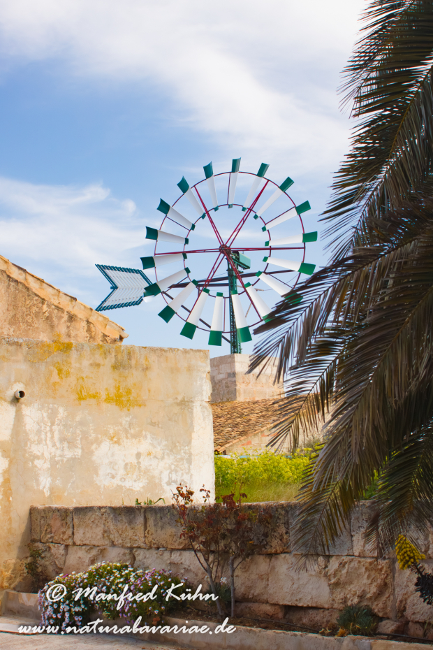 Mallorca (Spanien)_Süden_0004