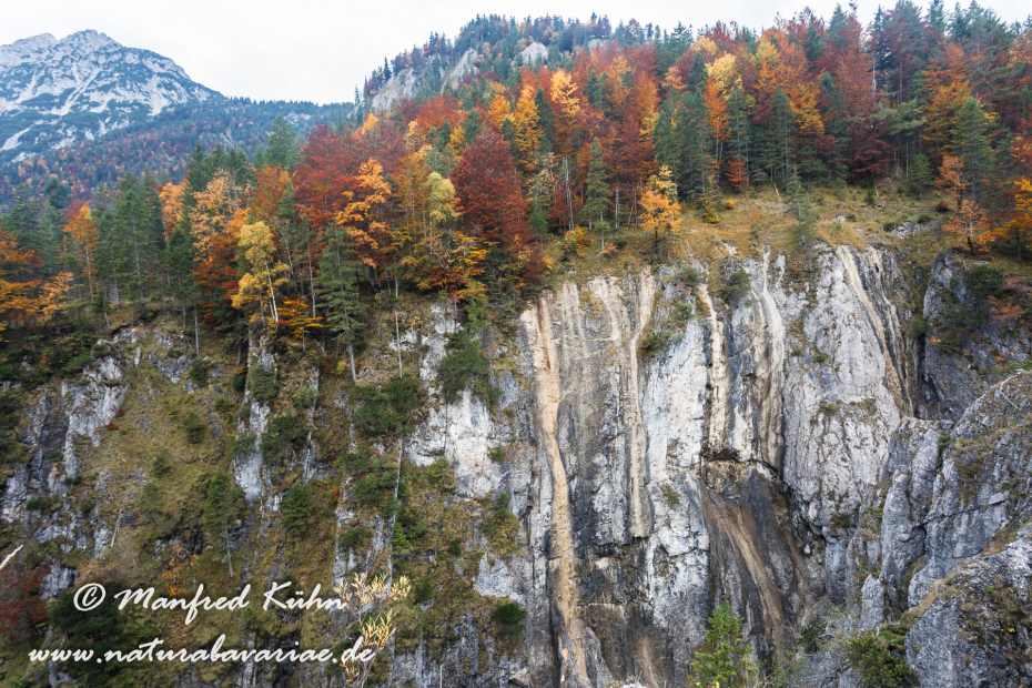 Kleiner Ahornboden (Oesterreich)_0001